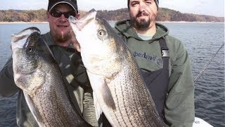 North Carolina coast Outer Banks Striped Bass fishing [upl. by Wamsley]