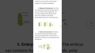 sexualreproductioninfloweringplantsclass12 megasporogenesis viralvideo studymotivation student [upl. by Friedland]