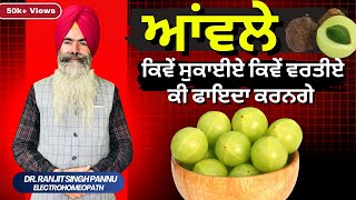 ताजा आंवला लाख का खराब आंवला सवा लाख का  100 Benefits of Aamla By Dr Ranjit Singh Pannu [upl. by Dewhirst714]