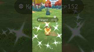 Shiny Kricketot Pokemon GO [upl. by Noyar536]