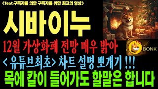 시바이누 시바이누코인 시바이누코인전망 shib bonk doge 코인전망 비트코인 이더리움 도지코인 [upl. by Nomannic]