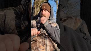 Deer calling bowhuntingwhitetails deer whitetail [upl. by Nichy]