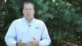 How to Grow Thick amp Healthy Zoysia Grass [upl. by Rand]