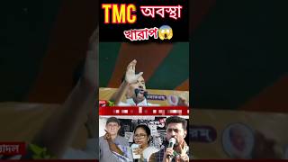 TMC অবস্থা খারাপ🗞️মমতা ব্যানার্জি কি করবে shorts short shortvideo news খাবার khobor abpananda [upl. by Paynter]