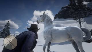 Red Dead Redemption 2 How To Get The White Arabian Horse Very Easy  Full Guide [upl. by Atsirhcal]