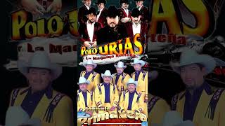 Conjunto Primavera ft Los Rieleros Del Norte norteñas norteñasmix mixparapistear norteño [upl. by Mann692]