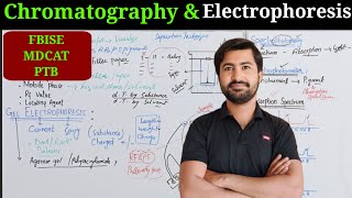 Chromatography and Gel Electrophoresis Biology class 11 chapter 1 The cell [upl. by Moran]