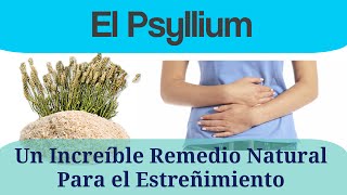 Psyllium Un Increíble Remedio Natural para el Estreñimiento [upl. by Phyllida]