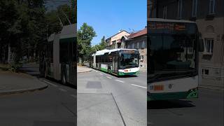 PILSEN  City trolleybus 🚎 at Mánesova street  4K trolleybus [upl. by Almat]