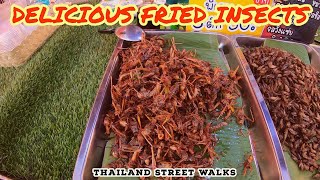 Deep Fried Insects In Thailand  Fried Bugs For Sale In Bang Yai Night Market [upl. by Peih]