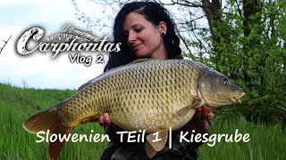 Carphontas Vlog 2  Karpfenangeln in Slowenien [upl. by Ellehcir2]