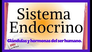 👉SISTEMA ENDOCRINO humano y sus principales GLÁNDULAS y hormonas Documental Completo Jopabaa [upl. by Adnik978]