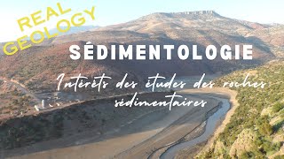 Sedimentology in brief [upl. by Kcolttam]