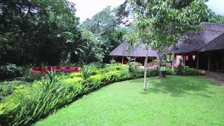 Primate Lodge Kibale Forest National Park Uganda [upl. by Richara625]