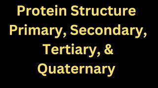 EXPLANATION On PROTEIN STRUCTURE  Primary Secondary Tertiary amp Quaternary protein structure [upl. by Abrahan]