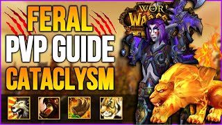 Feral Druid CATACLYSM PVP Guide 🦁🏅  Gameplay Rotation Changes Stats Talent  CATACLYSM CLASSIC [upl. by Faxan588]