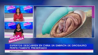 Expertos descubren en China un embrión de dinosaurio perfectamente preservado  En La Mañana [upl. by Nageam]