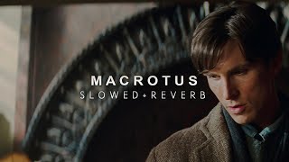 Batman Begins  Macrotus Slowed  Reverb [upl. by Sowell734]