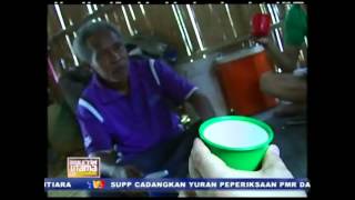 Liputan Cendawan Susu Harimau CNI Di Buletin Utama TV3 [upl. by Lynda]