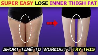 SUPER EASY Lose Inner Thigh Fat Slim Inner Thighs No Jump Squats Lunges  Short Time Workout [upl. by Kariotta]