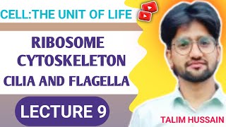 Cell the unit of life Ribosome Cytoskeleton Cilia and Flagella Lecture 9🔥 NEET 2025🔥 NCERT [upl. by Landau]