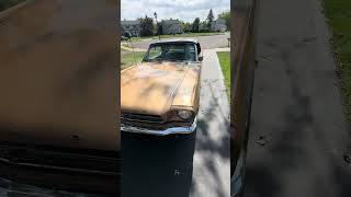 Inbound 1965 Ford Mustang 289 V8 shorts ford mustang classiccars automobile car cars auto [upl. by Winograd]