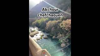 AKCHOUR CHEFCHAOUN [upl. by Fesuy]