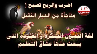 حسون خالي العلام شامي لعشاق التحفيظ [upl. by Simsar279]