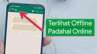 Cara Membuat WhatsApp Offline Padahal Sedang Online [upl. by Joo]