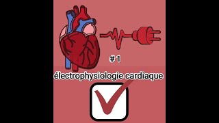 1électrophysiologie cardiaque physiologie cardiorepiratoire 2éme MED [upl. by Yevoc]