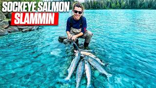 Salmon Fishing The Russian River Alaska For SockeyeRed Salmon 2024 [upl. by Adnirol]