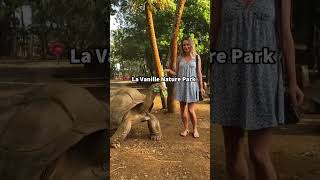 Most beautiful places in Mauritius lovebeauty explore adventure nature Top10 fun ytshorts [upl. by Fulmer]