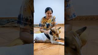 Mini Vlog 110 kokan riyaz petlover swanandisardesai bageshree music [upl. by Lyndsay]