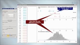 The Randomization Test [upl. by Sinnelg]