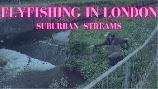 Flyfishing for Coarse Fish  flyfishing a tiny London stream [upl. by Meece]