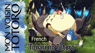 Mon Voisin Totoro  Tonari no Totoro  French cover [upl. by Nayrb169]