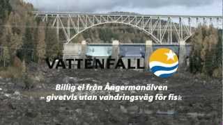 Vattenfalls romantiska bild [upl. by Milone]