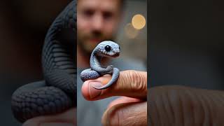 La Serpiente Legendaria Más Asombrosa – Un Mito Que Cobra Vida 🐍✨ adorable cute animals [upl. by Nnoj]