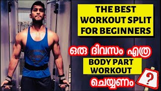 The Best workout Split  For Beginners  Malayalam  Certified Fitness Trainer [upl. by Hak]