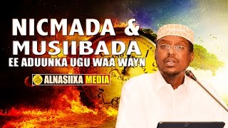 NICMADEE amp MUSIIBADEE AYAA ADUUNKA UGU WAA WAYN  ᴴᴰ┇ ShMustafe Xaaji Ismaaciil [upl. by Arihsa]