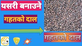 गहतको दाल फ्रइ  Gahat Ko Dal Fry  Dal Fry  BY Chuko Home Nepali style Gahat ko Dal [upl. by Assile]