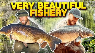 Lake Exclusive Carp Fishing Trip Chelmsford Essex UK [upl. by Homer]