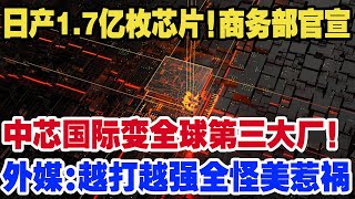 日产17亿枚芯片！商务部官宣，中芯国际摇身一变全球第三大厂！外媒越打越强全怪美惹祸 [upl. by Berlinda]