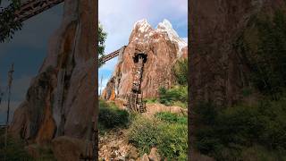 Expedition Everest Disney Animal Kingdom [upl. by Allanson338]