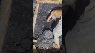 Old man satisfying miningindustry coalmining coal mining [upl. by Ahsyekat]