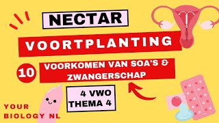 4 vwo  Voortplanting  10  Voorkomen van SOAs en zwangerschap [upl. by Evin]