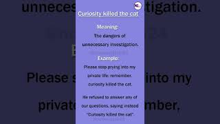 Curiosity killed the cat Idioms [upl. by Ferwerda]