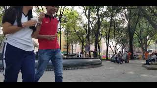 ASMR Writing Places WRITING BY THE FOUNTAIN COYOACAN [upl. by Anauqal]