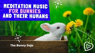 MEDITATION MUSIC WITH BUNNIES  ONE HOUR [upl. by Yahc561]