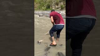 Net casting in the cloudy weather fishingshorts viral [upl. by Erinna206]